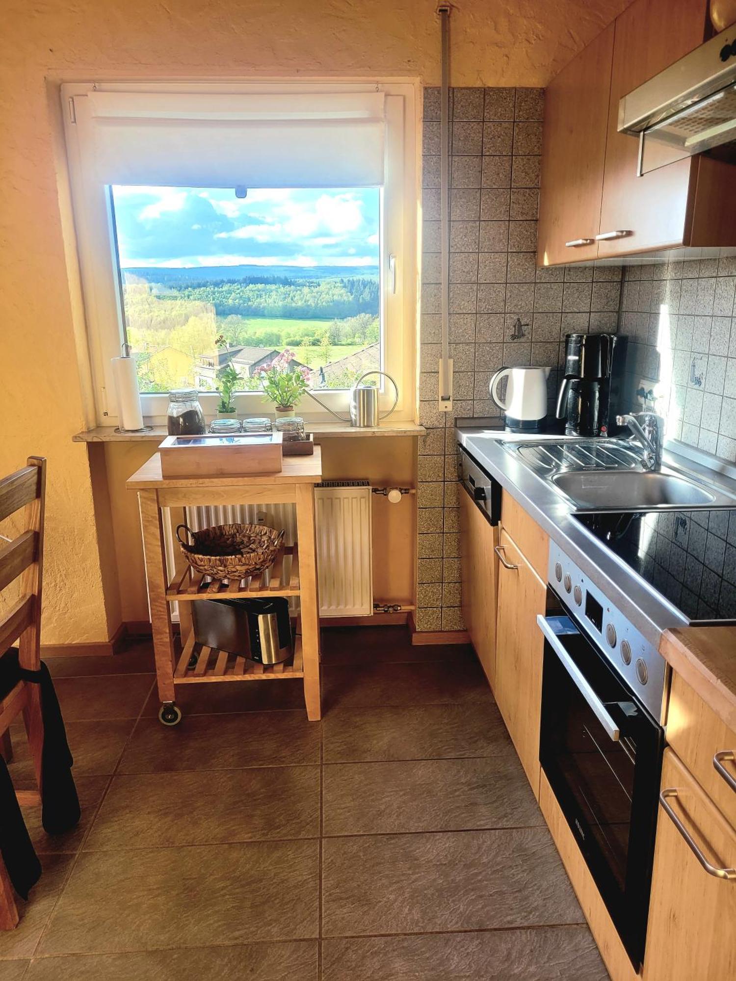 Ferienhaus Wilder Hunsrueck Schmissberg Ngoại thất bức ảnh